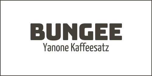 Canva Font Pairings Bungee and Yanone Kaffeesatz