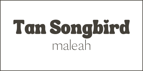 Canva Font Pairings Tan Songbird and Maleah